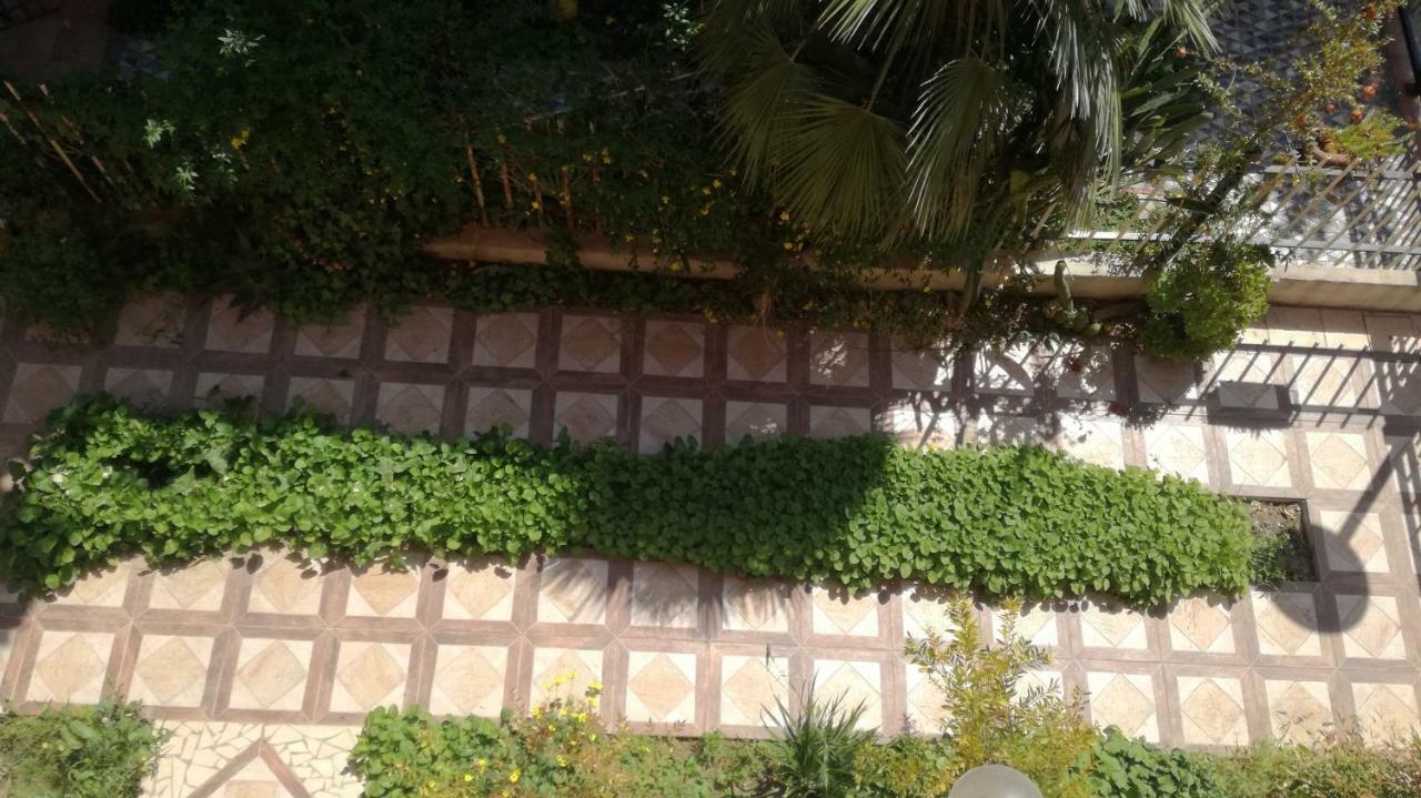Un'Oasi Di Pace In Centro Daire San Severo Dış mekan fotoğraf